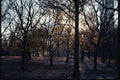 074037 Central Park In Autumn A4 Photo Print