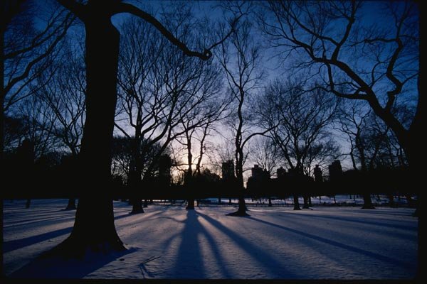 074038 Central Park In Winter A4 Photo Print