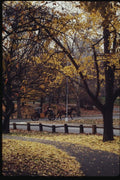 074040 Carriage Ride In Central Park In Autumn A4 Photo Print
