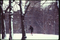 074048 Cross Country Skier In Central Park A4 Photo Print