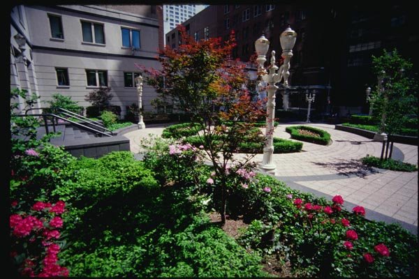 074077 Upper West Side Court Yard Garden A4 Photo Print