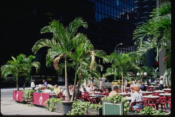 074085 Times Square Area Sidewalk Cafe A4 Photo Print