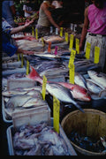 074089 China Town Fish Market A4 Photo Print