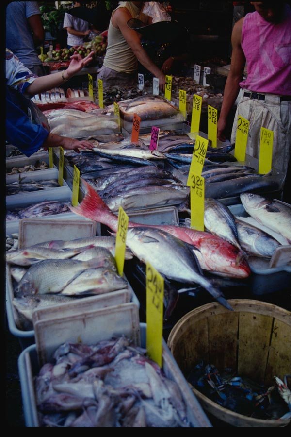 074089 China Town Fish Market A4 Photo Print