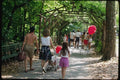 074093 Central Park Arbor A4 Photo Print