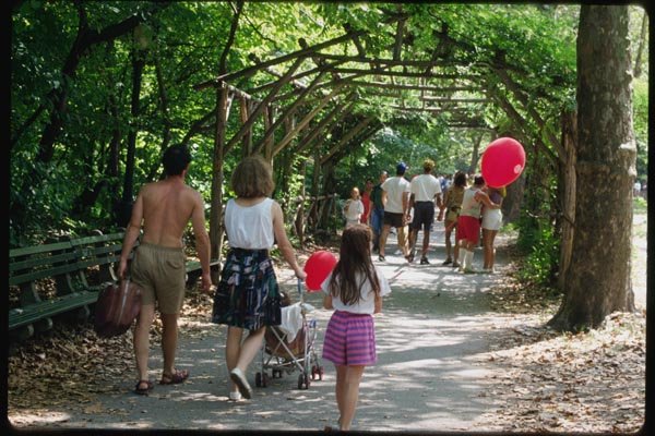 074093 Central Park Arbor A4 Photo Print