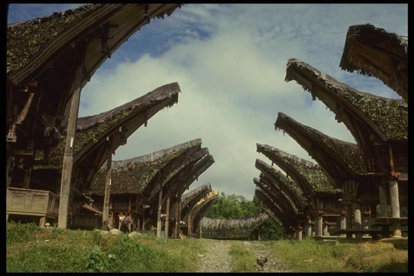 076002 Thatch roofed Rice Barns A4 Photo Print