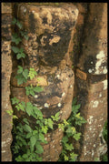 076016 Carved Black Statue With Vine A4 Photo Print