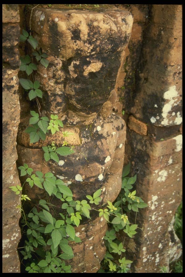 076016 Carved Black Statue With Vine A4 Photo Print