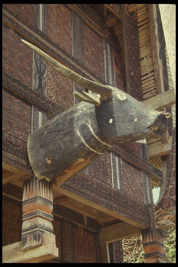 076036 Wooden Buffalo Head, Torajaland A4 Photo Print