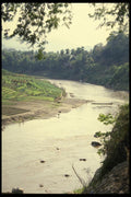 076038 River Lined With Gardens A4 Photo Print