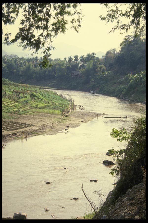 076038 River Lined With Gardens A4 Photo Print