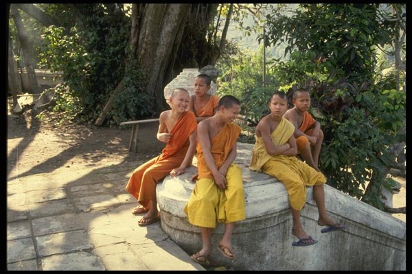 076039 Five Young Buddhist Monks A4 Photo Print