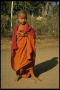 076055 Young Monk In Buddhist Robe A4 Photo Print