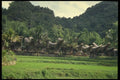 076062 Boat shaped Rice Barns, Torajaland A4 Photo Print