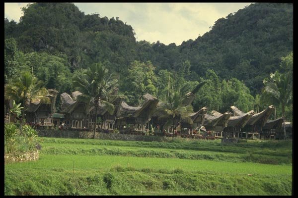 076062 Boat shaped Rice Barns, Torajaland A4 Photo Print