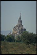 076087 Trees In Front Of Burmese Temple A4 Photo Print