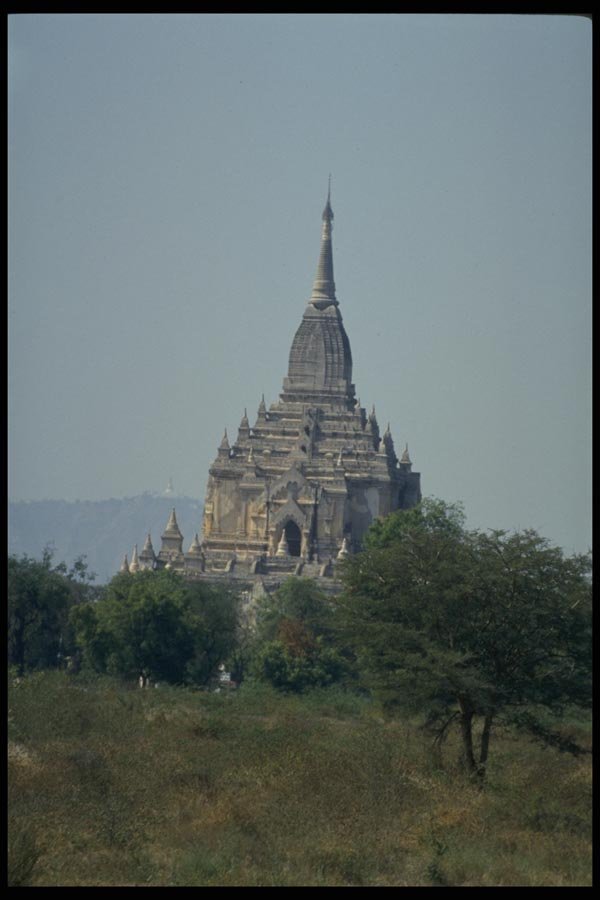 076087 Trees In Front Of Burmese Temple A4 Photo Print