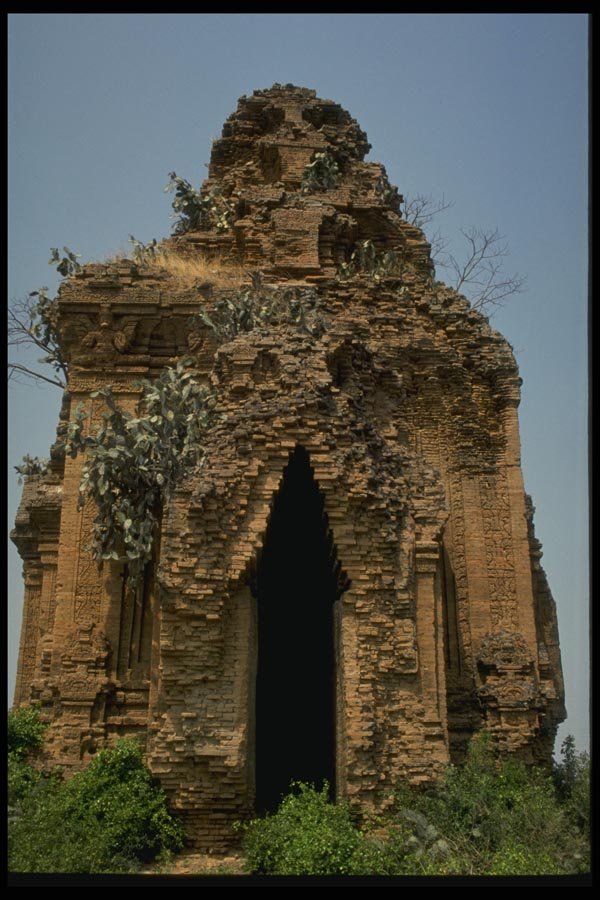 076093 Abandoned Temple Covered In Cacti A4 Photo Print
