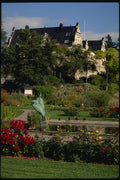 078006 University Botanical Gardens, Helsinki A4 Photo Print