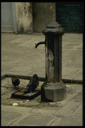 079060 Pigeon Watering Spot, Venice A4 Photo Print