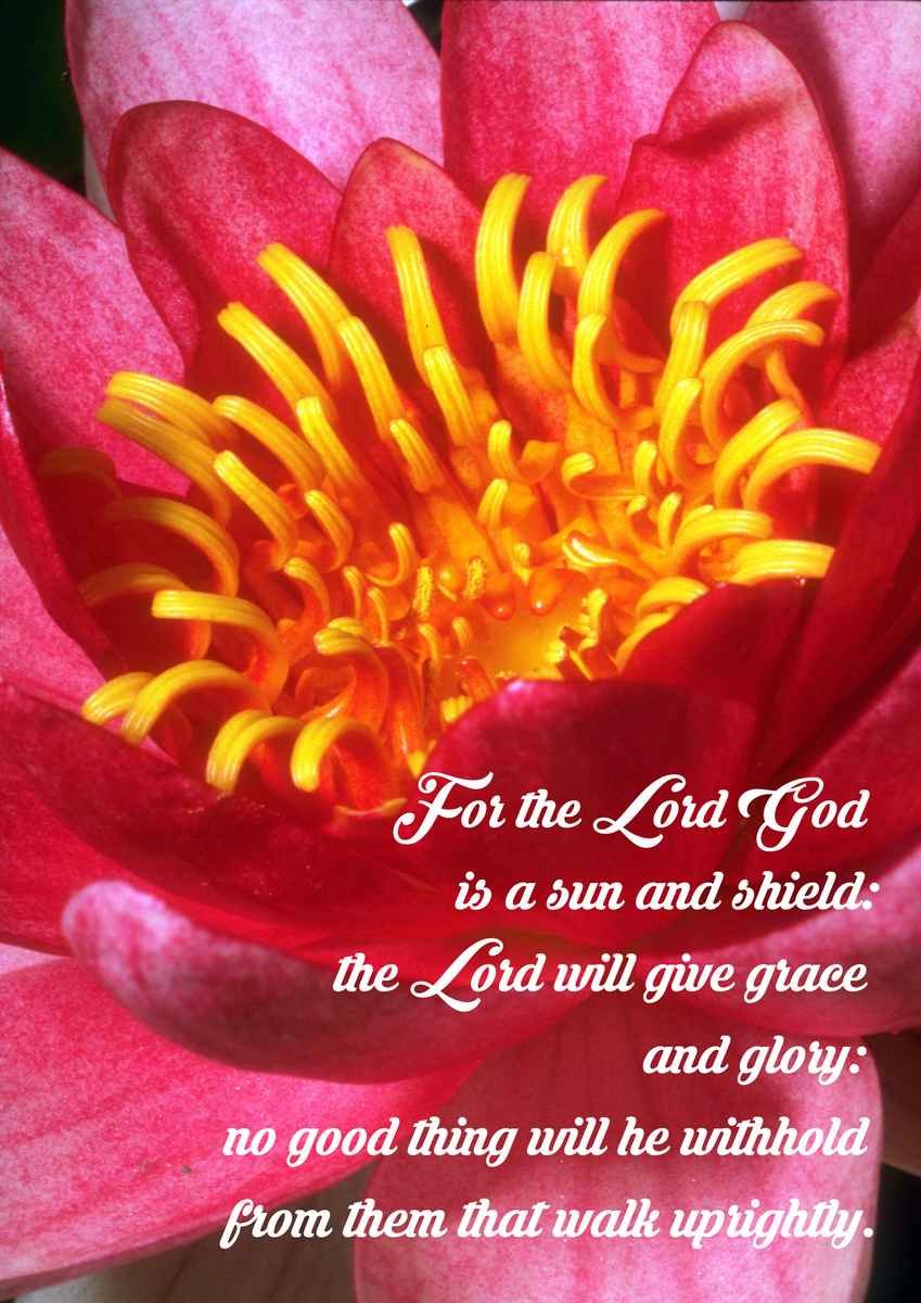 Ahaz his son Hezekiah his son Manasseh his son A4 photo print 