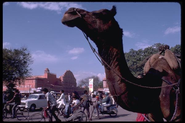 080016 Jaipur, Rajasthan A4 Photo Print