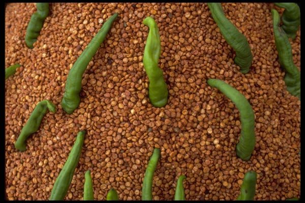 080059 Chiles And Seeds, Amber A4 Photo Print