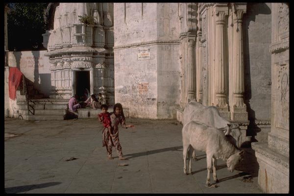 080086 Udaipur, By The Lake A4 Photo Print