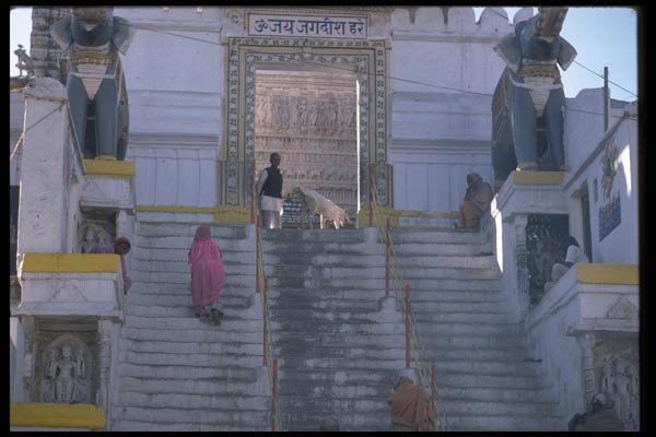 080092 Udaipur Hindi Temple A4 Photo Print