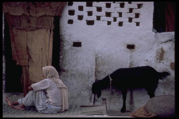 080093 Outside A Jaipur Home A4 Photo Print
