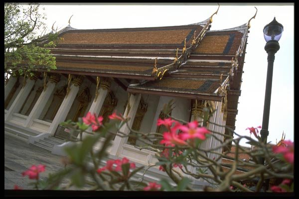 081021 Wat Phra Thong, Phuket Island A4 Photo Print