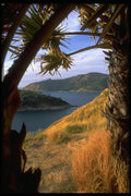 081022 Patong Bay, Phuket Island A4 Photo Print