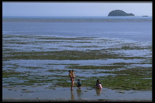 081038 Collecting Shells In Ko Sire, Phuket Island A4 Photo Print