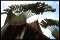081040 Wat Phra Keo, Bangkok A4 Photo Print