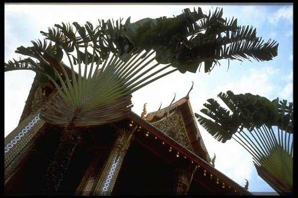 081040 Wat Phra Keo, Bangkok A4 Photo Print