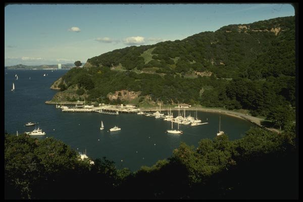082029 Ayala Cove Angel Island A4 Photo Print