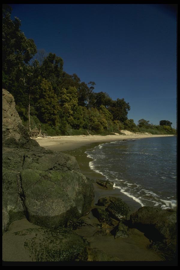 082030 Quarry Beach Angel Island A4 Photo Print