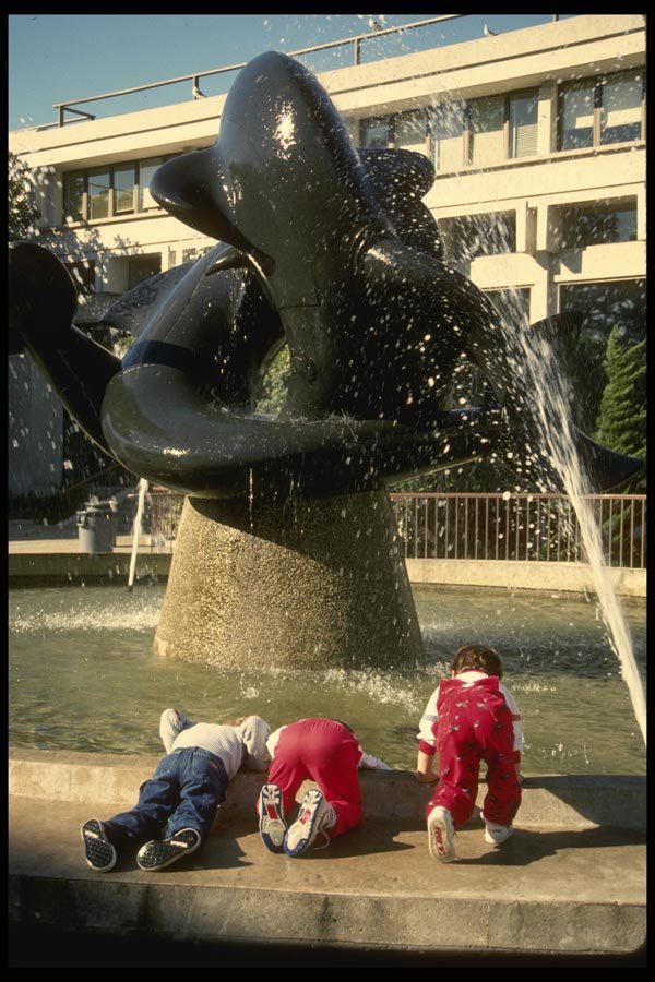 082097 Steinhart Aquarium Golden Gate Park A4 Photo Print