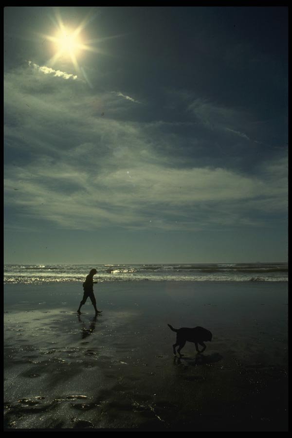 082099 Man And Dog Ocean Beach A4 Photo Print