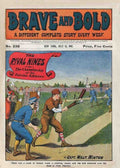 083 Brave Bold 2 Vintage A4 Photo Print
