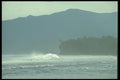 083003 Whale In Surf A4 Photo Print