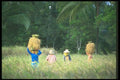 083007 Workers Carrying Loads Of Harvested Rice A4 Photo Print