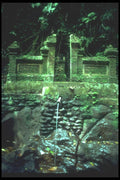 083010 Gateway To Forest Shrine, Ubud A4 Photo Print