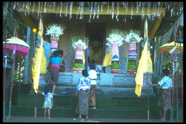 083014 Women Placing Offerings At Temple, Ubud A4 Photo Print
