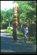 083015 Women Carrying Offerings To Temple, Ubud A4 Photo Print