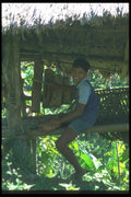 083018 Young Musician In Tree House A4 Photo Print