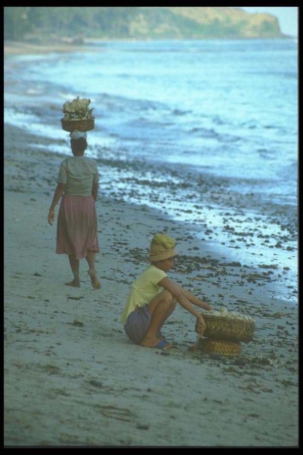 083025 Gathering Coral On A Beach Near Kusamba A4 Photo Print