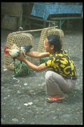 083035 Woman With Rooster A4 Photo Print