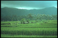 083040 Landscape, Near Singaraja A4 Photo Print
